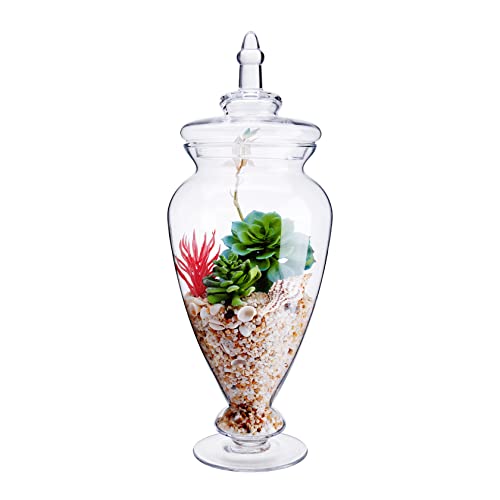 Glass Large Apothecary Jars, Clear Candy Bowl Dishes Holder Elega...