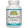Phosphatidyl Choline 420mg from 1200 phophatidyl complex (90Capsules) Brand: Natural Factors