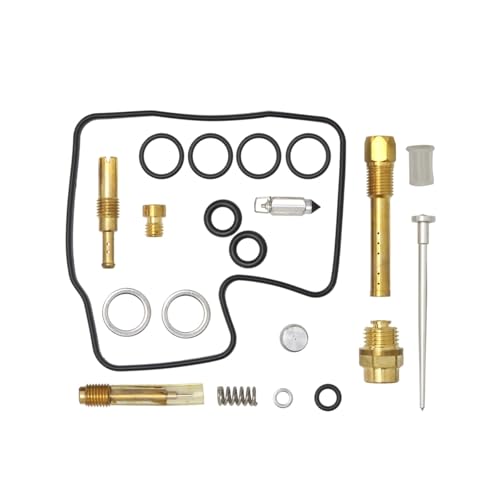 Réparer les fuites du carburateur de Shadow 1100 avec le kit VT750 VT1100