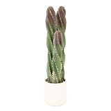 Keeplush Artificial Spiral Cactus Plants, 30” UV-Resistant Artificial Outdoor Plants, Tall Fake Cacti Plant in White Pot, Faux Floor Plants for Indoor Home Office Hotel Bedroom Patio Balcony Garden
