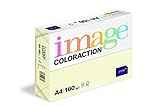 Image Coloraction - farbiges Kopierpapier Atoll/elfenbeinf. 160g/m² A4 - Paket zu 250 Blatt
