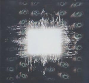 Tool (2) Ænima