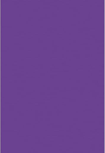 Renaiss 10x15ft Solid Color Purple Backdrop for Photoshoot Portrait Chromakey Monochrome Pure Violet Purple Screen Photography Background Baby Shower Wedding Birthday Party Decors Photo Booth Props