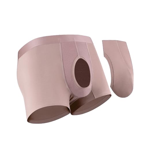 [Pastinde] {NT[ pc Y OJ ^ {NT[u[t ʋC Rbg  j C̖h~ ʋC RۖhL 풅 j  (JP, At@xbg, L, sN)