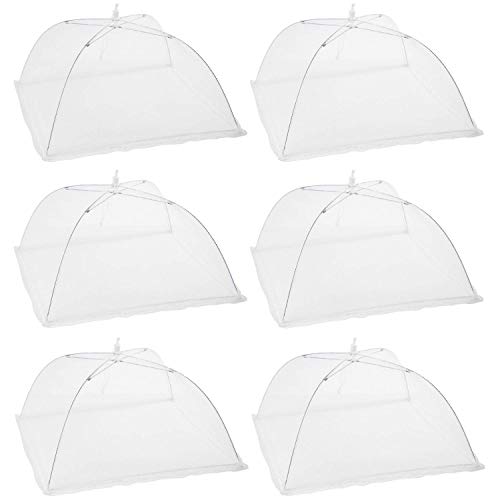 Best Garden Cloche