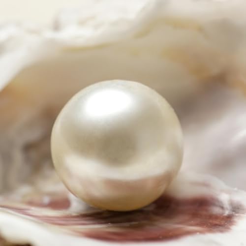 Episode 108: 5/3/2021 - BELIEVE