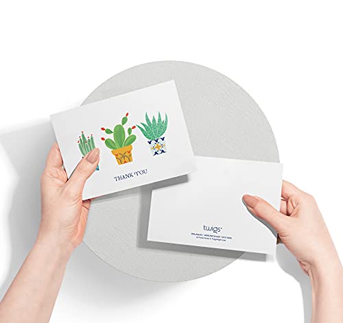 Image of Twigs Paper Cacti Thank You Cards, 12 Blank Note Cards with Envelopes | Small size, gratitude & appreciation notes, hand-illustrated artwork, stationery, bulk value set