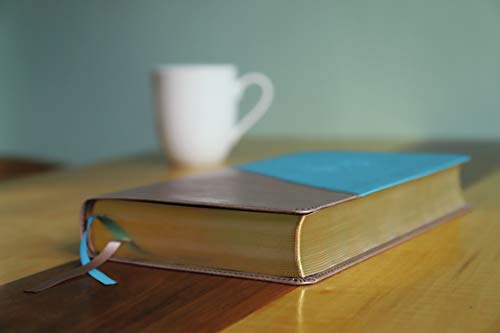 Niv, Personal Size Bible, Large Print, Leathersoft, Teal/Gold, Red Letter Edition, Comfort Print: Ne