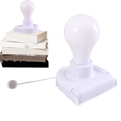 Bombilla con cordón de tiro para iluminar el garaje y taller