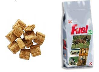 PURINA Horse Rider MANGIME 25 kg