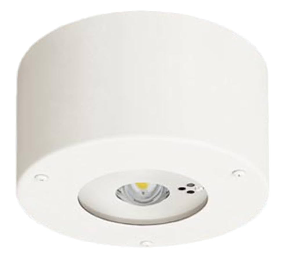 Amazon | パナソニック(Panasonic) 天井直付型 LED 昼白色 非常