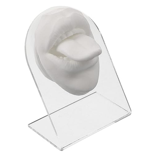 CIMAXIC Tongue Pierced Kit Body Part Silicone Face Model for Display Training Tool