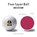 Personalised Springer Spaniel Dog Custom Golf Ball Soft Practice Golf Balls Performance Distance and Speed for Indoor Outdoor