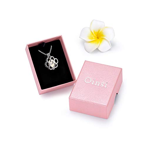 Pet Cremation Jewelry For Ashes For Dog/Cat Paw Stainless Steel Memorial Locket Urn Necklace Inside Mini Case Keepsake Cremation Jewelry Women Men (Silver With Rose Gold) #TOP2