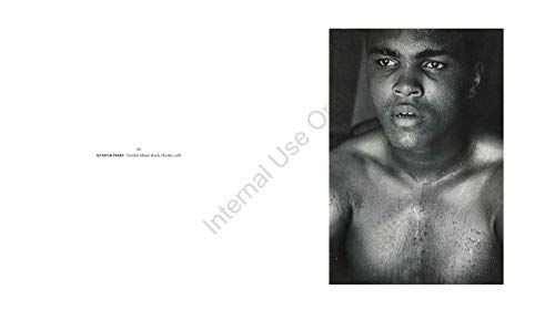 Viewpoints: Photographs From The Howard Greenberg Collection #TOP3