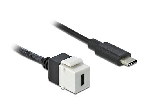ADAP DELOCK KEYSTONE USB 3.0 C TO USB 3.0 C MIT CABLE