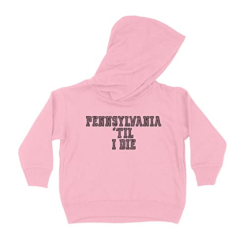 Pennsylvania Til I Die Kids Hoodie Sweatshirt Toddler 5T Light Pink