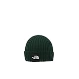 [ザ・ノース・フェイス] ニット帽 Kids' Cappucho Lid アルパイン KF