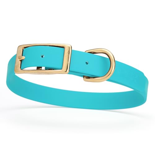 Image of Viper Biothane Heavy Duty Waterproof Dog Collar Strong Coated Nylon Webbing w /Solid Brass Hardware Odor-Proof Easy to Clean High Performance Fits Small Medium or Large Dogs, Sky Blue