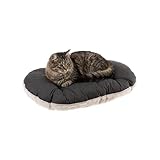 Ferplast Cuscino Cane e Gatto RELAX 55/4, Lettino per Cani Gatti Animali Domestici, Materassino, Cuscino Imbottito per Cuccia Cane e Gatto, Ovale, Pe luche e Cotone, Lavabile, 55 x 36 cm