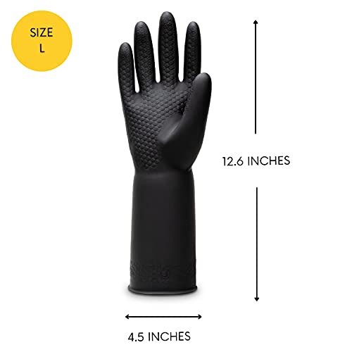 https://m.media-amazon.com/images/I/31AIXSEXwvL._SL500_.jpg