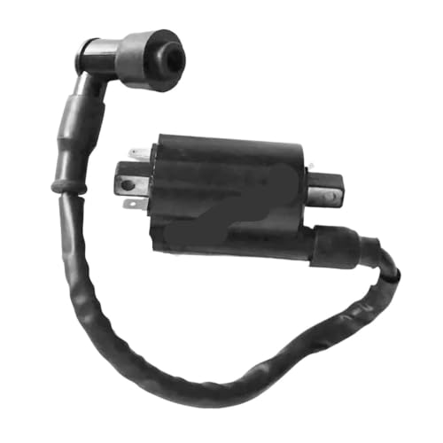 Bobine d'allumage contre démarrage difficile Ninja 250r EX250