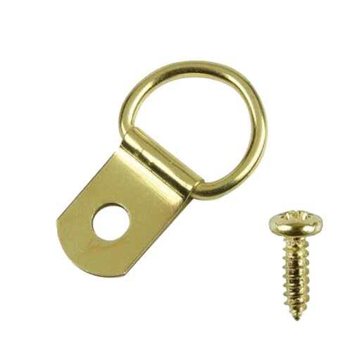 Image of Taskar Brass D Rings & Screws for Picture Frame Hanging (100 Pack)