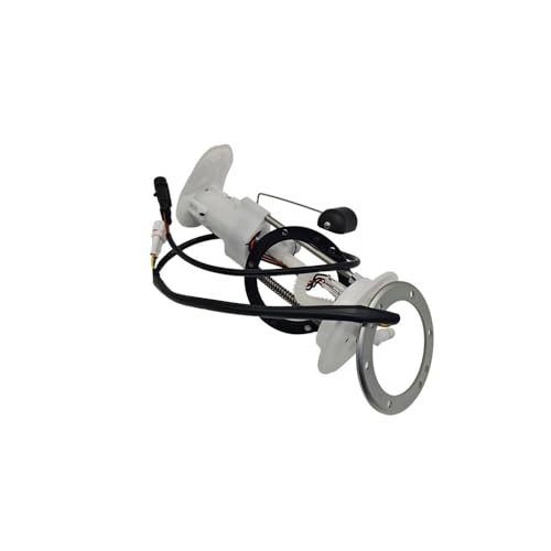 Hierro de combustible para ATV EFI: soluciona fallos de aceite en 260CC, 300CC y 400CC 3