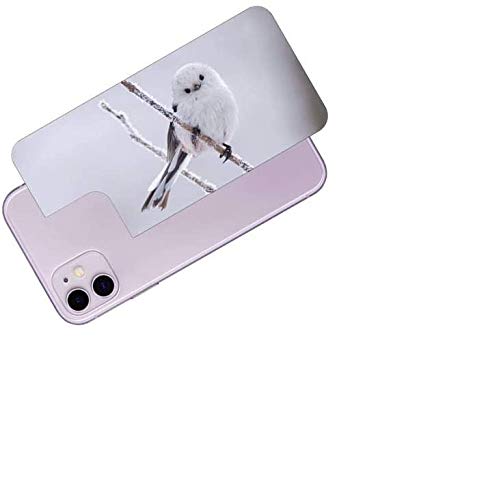 ClearView Apple iPhone 11Ή wʕیtB 킢V}GiK̃vg(Photo by )