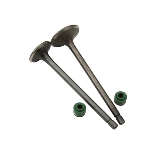 Durable 2PC Intake And Exhaust Valves For Hon CG110 CG125 CB125J CB125S XL125 14711-383-000 14721383000 4-Stroke Replacement Part