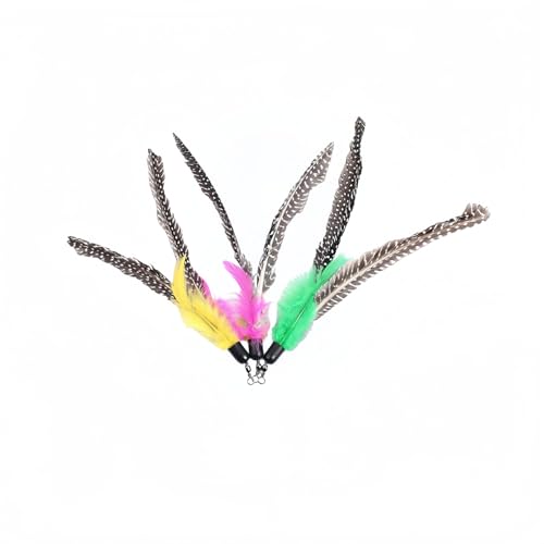 L炵Zbg 6_EHtEt | VRؐނƁE{[t | L̊ޗp/ЂƂV/Ԍ |ߋ (Style-A)