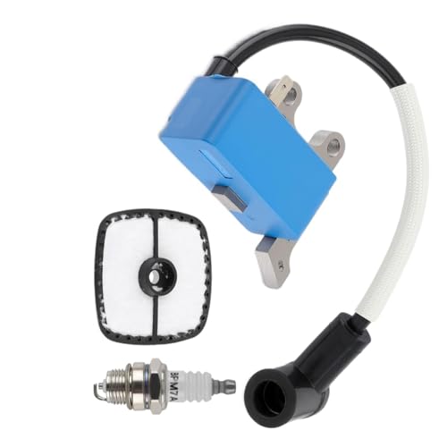 Bobine d'allumage A411001690 pour résoudre les problèmes de démarrage sur Shindaiwa T235