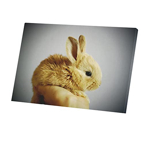Toile imprimée lapin nain beige : tableau décoratif grand format de prestige