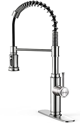 Kitchen Faucet-WaterSong Kitchen Sink Pull-Down Faucet with One 3-Functional Sprayer, Stainless Steel Kitchen Faucet with Deck Plate, 1 Hole RV Kitchen Faucet