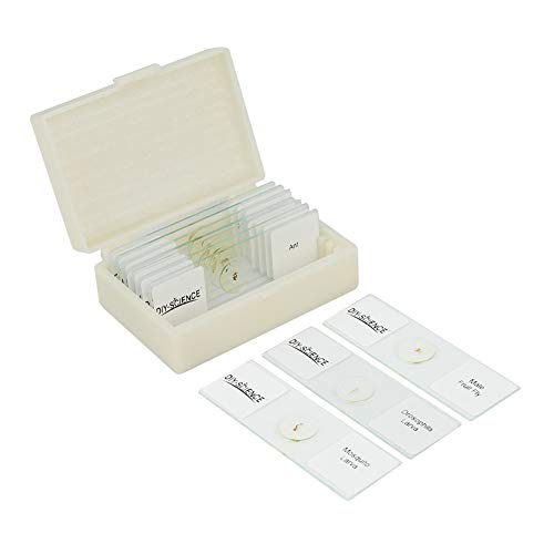 Image of Prepared Whole Insects Microscope Slides Set, 10pcs Specimens for Kids Students Biology Class, Educational Gift (Whole Insects)