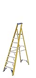 Werner Fibreglass Platform Stepladder 8 Tread