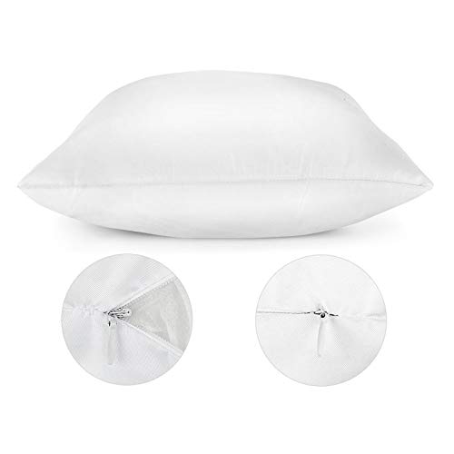 Dandelion Throw Pillow Cover Queen Size Set of 2,Floral Lumbar Pillow Case Flowers Pillowcases Soft Standard Pillow Cases with Zipper Decorative Bedding Cushion Covers for Bedroom,Couch,Sofa,20"x30"