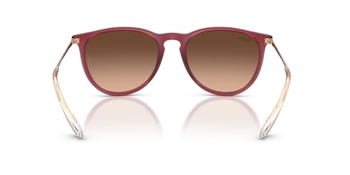 Image of Ray-Ban RB4171 Erika Round Sunglasses