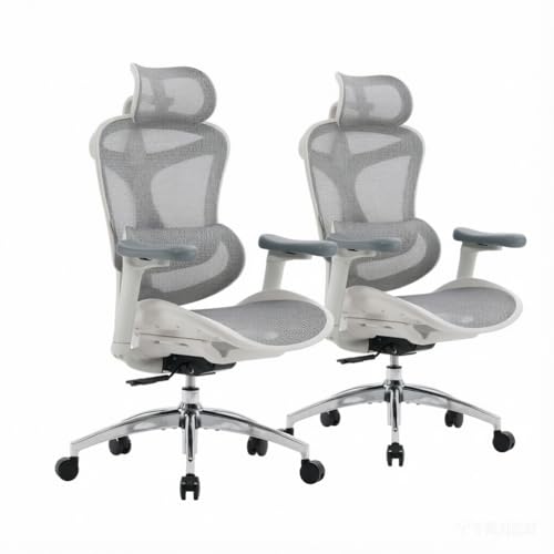 Image of SIHOO Doro C300 Ergonomic Office Chair with Ultra Soft 3D Armrests, Dynamic Lumbar Support for Home Office Chair, Adjustable Backrest Desk Chair, Swivel Big and Tall Computer Chair 2 Packs (Grey)