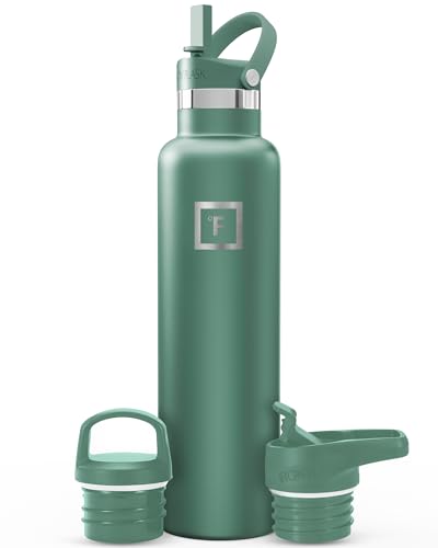 Iron Flask 24oz Stainless Steel Insulated Water Bottle with Straw