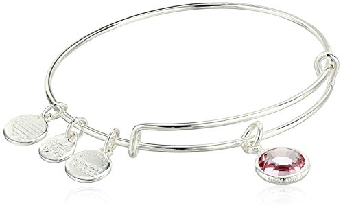 Alex and Ani Birthstones Expandable Bangle for Women, Light Amethyst Crystal Charm for June, Shiny Silver Finish, 2 to 3.5 in