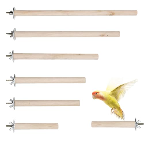 Perchoir à Oiseaux en Bois, Ensemble de 6 Perchoirs en Bois pour Perroquets, Perruches, Conures, Aras et Oisillons, Sûr et Non Toxique, Facile à Installer