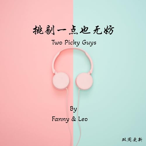 挑剔一点也无妨 copertina