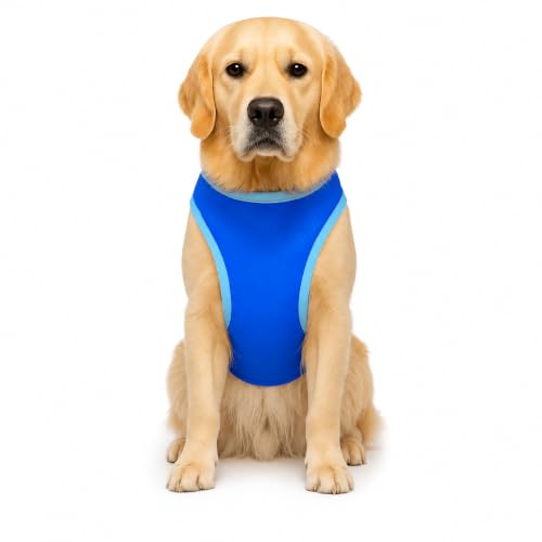 Lizzy Dog Cooling Vest Coat | Breathable Lightweight Puppy Jacket for Hot Weather | Pet Cool Safety Vest with Magic Tape | Sun Protection for Dogs (32cm (L)