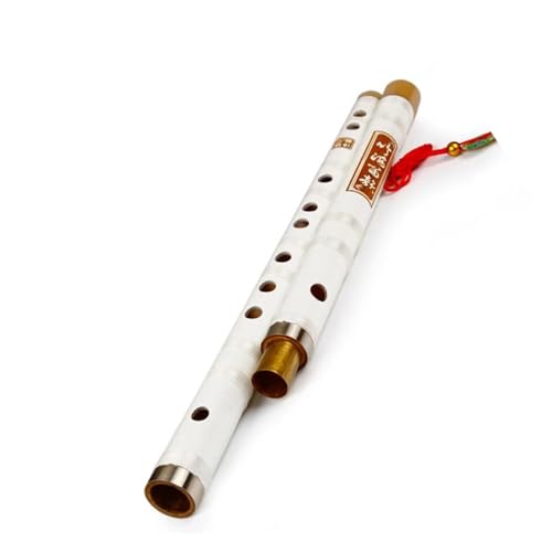 J ? ؊ǃt[gÓT|t[gy풆̓`I Dizi Flauta