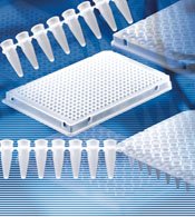 BrandTech Polypropylene White 384-well Full Skirt Real-Time PCR Plate (Pack of 50)