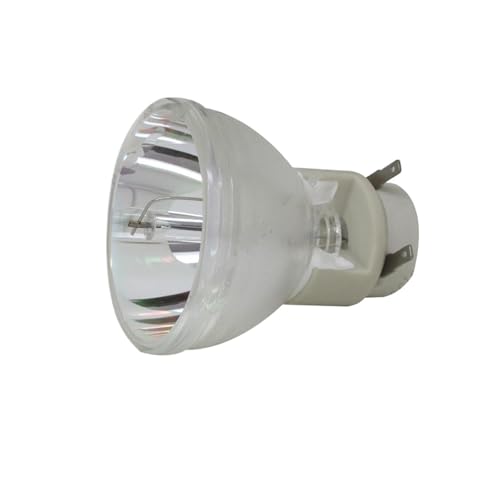 Ampoule nue pour projecteur 240/0,8 E20.8 pour vos cours et réunions