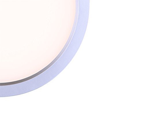 Canarm Led-Sm7Dl-Bn-C Ltd 7" Led Round Disk Light, Surface Mounted, Line Volt Without Driver, Painted Nickel With Acrylic Lens, 7", Brushed Nickle #TOP3