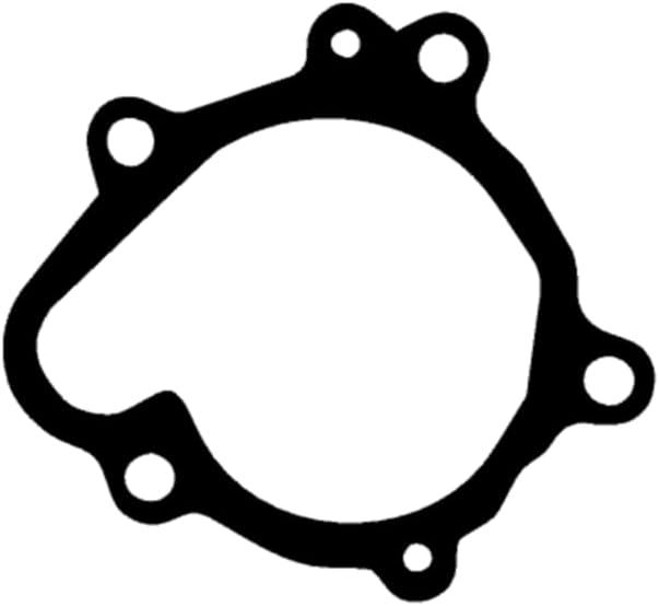 MG 9359 Junta de bomba de agua para Kawasaki Ninja 300 EX300 Versys-X 300 KLE300 ER300 Z300 EX250 Ninja 250