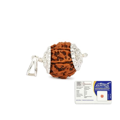 Image of Gemsmantra 7 Mukhi Rudraksha Bead With Pendant in 92.5 Sterling Silver | Regular Size | Original Nepali | Natural and Lab Certified | Represents Goddess Lakshmi, Enhances Wealth, Prosperity & Success For Men & Women